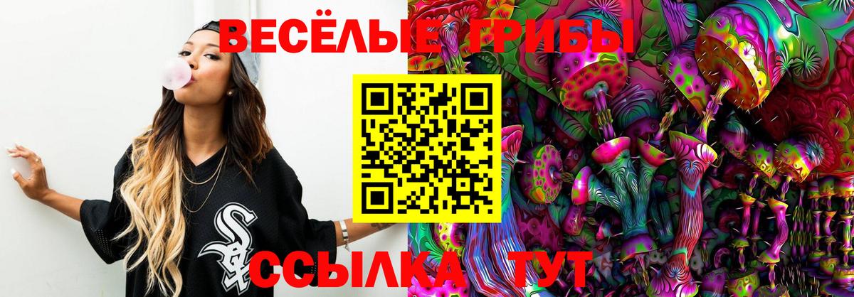Галлюциногенные грибы мухоморы Татарск